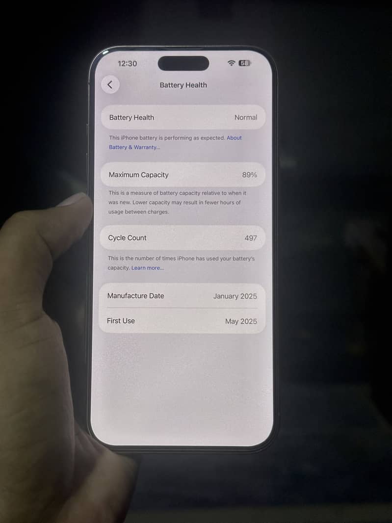 Apple iPhone 16 Pro Max 1