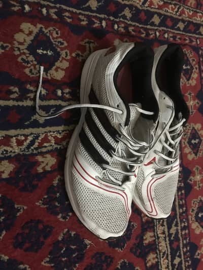 Adidas clima cool