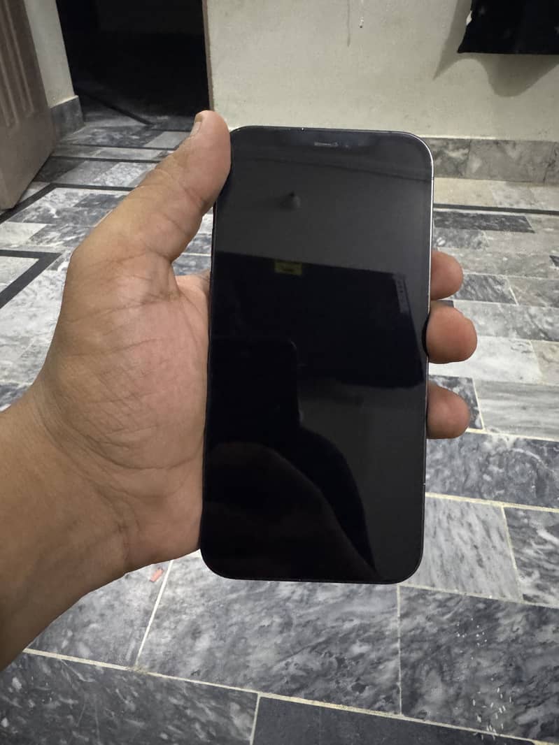 Apple iPhone 12 Pro 1