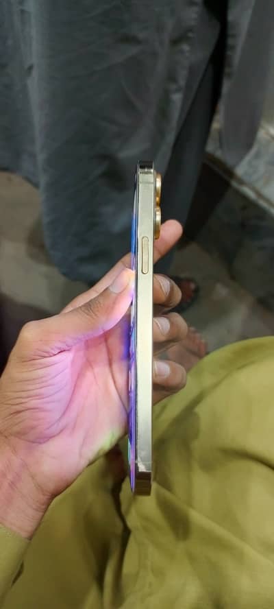 Apple iPhone 13 Pro Max