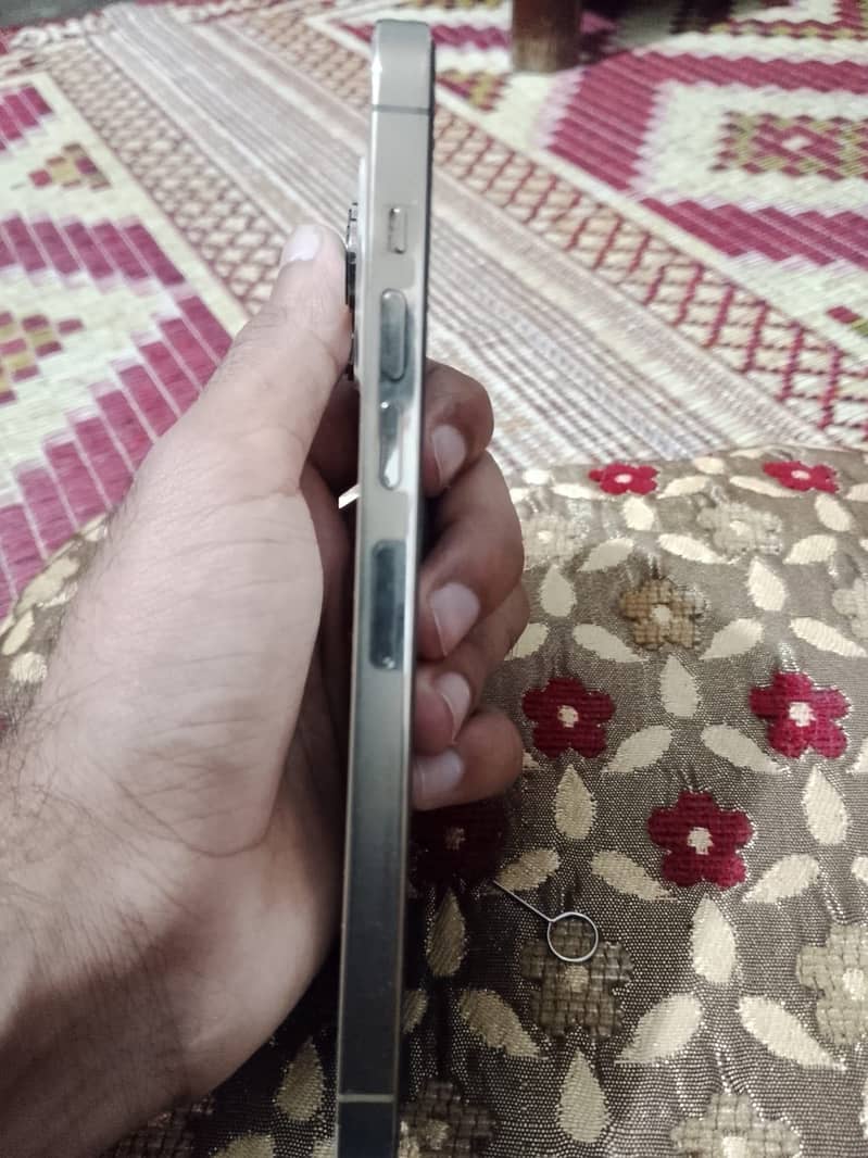 Apple iPhone 13 Pro Max 1