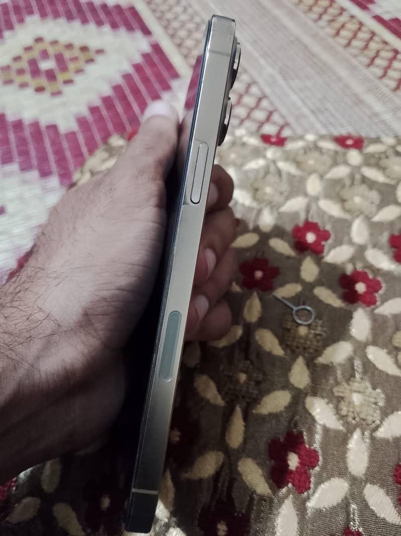 Apple iPhone 13 Pro Max 2