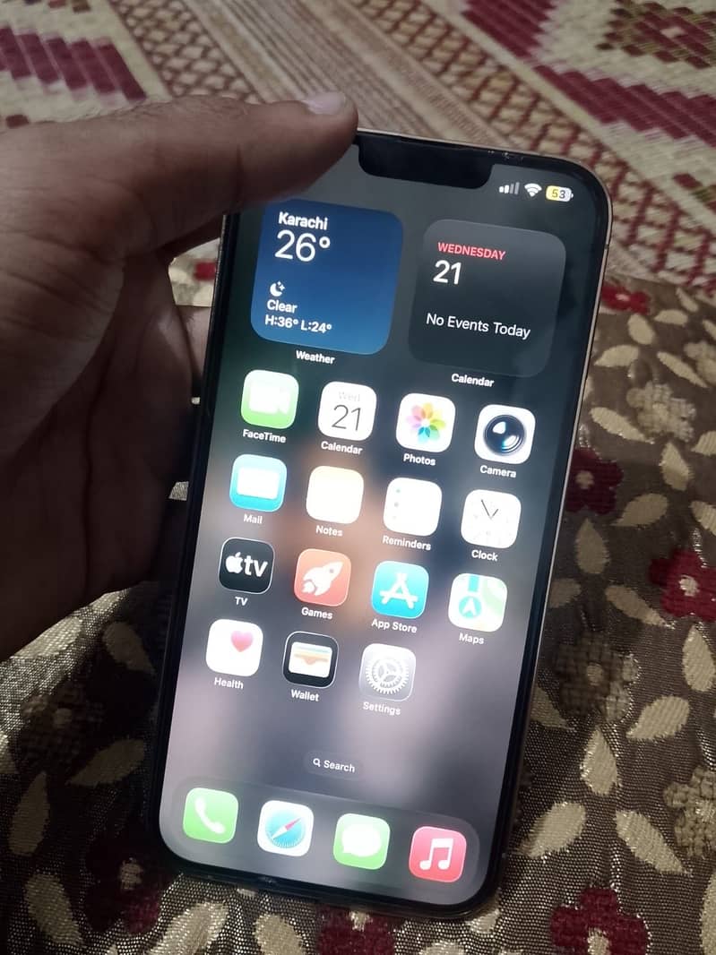 Apple iPhone 13 Pro Max 3
