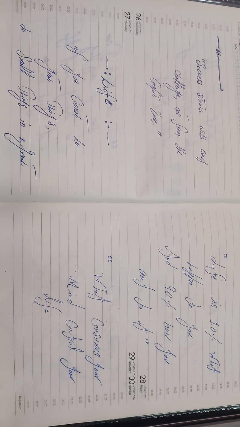 Assignment Writer 2