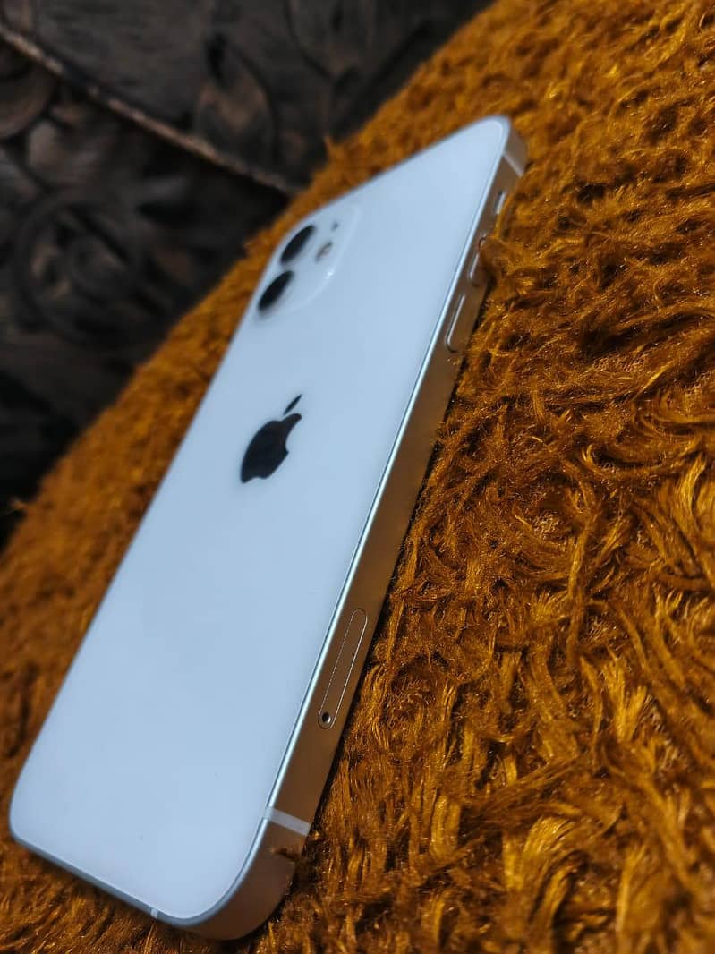 Apple iPhone 12 1
