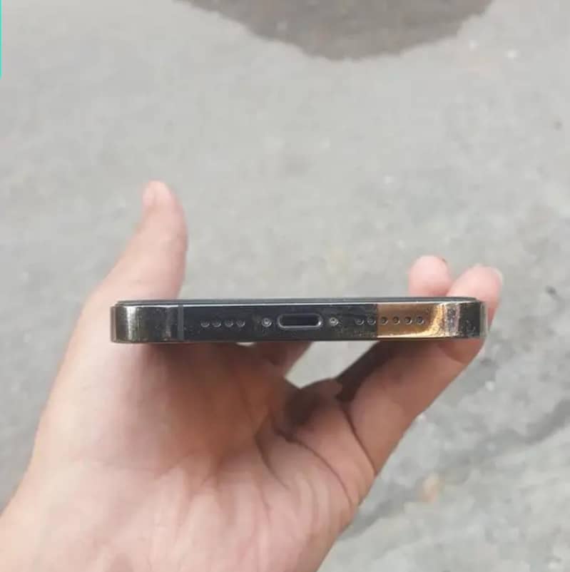 Apple iPhone 13 Pro Max 2