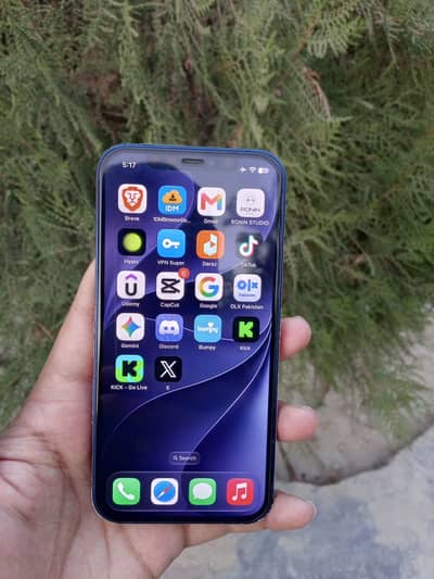 Apple iPhone 12
