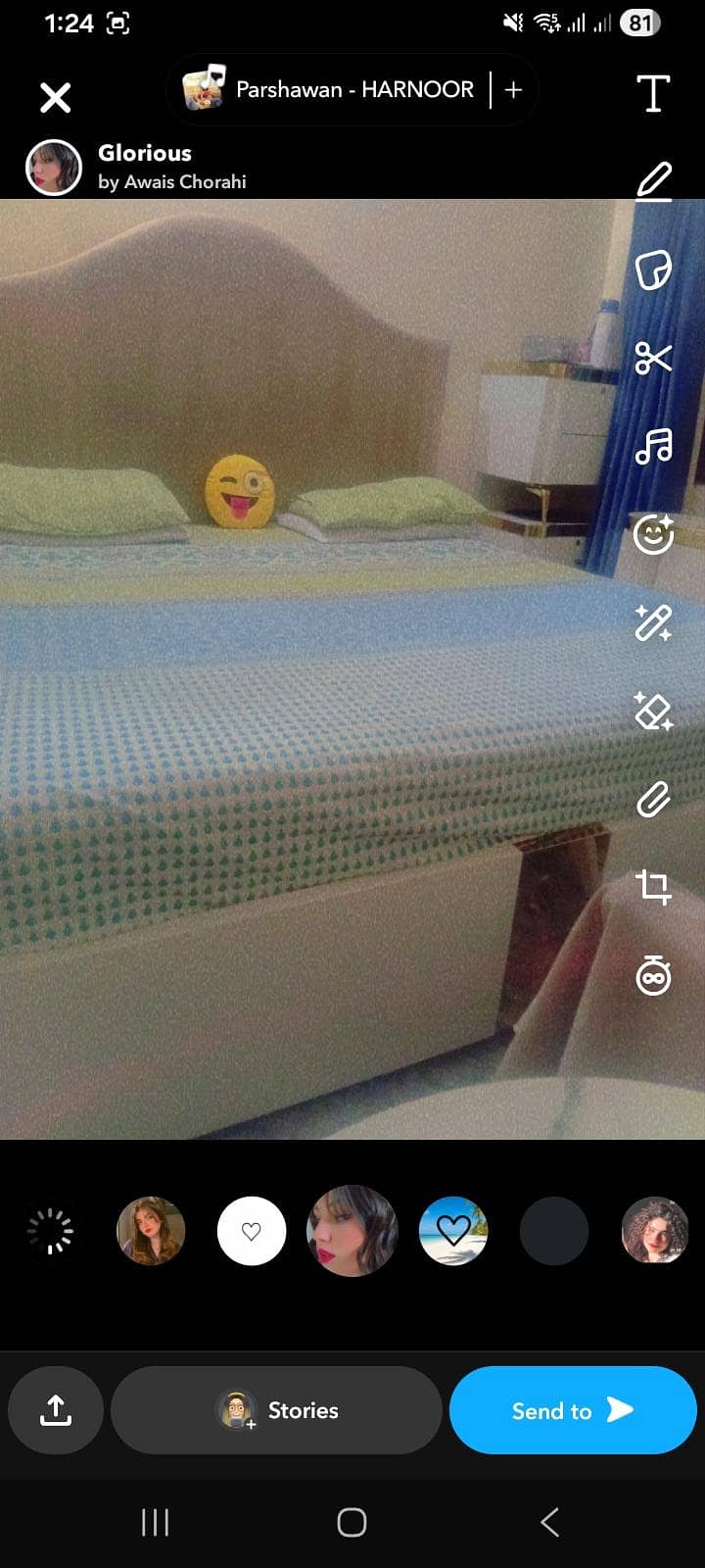 beds etc with dressing 1