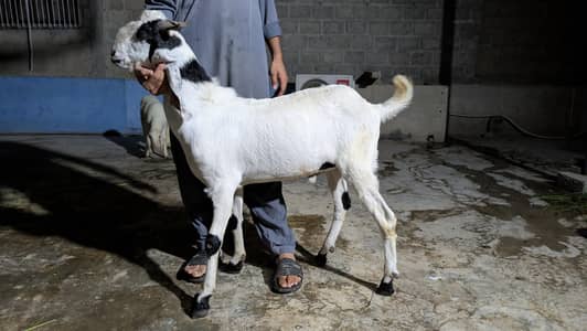 10 month say Uper Kay bachay ha