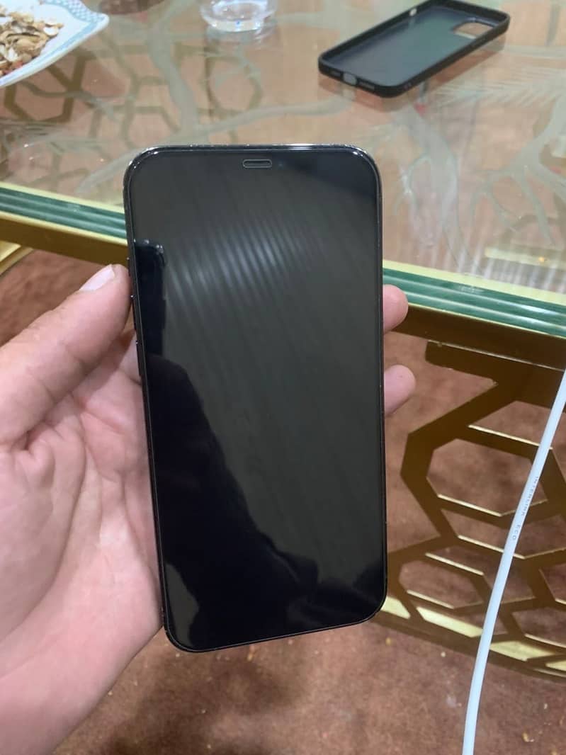 Apple iPhone 12 Pro Max 1