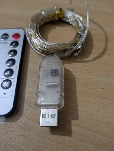 USB LED Fairy String Lights with Remote Control