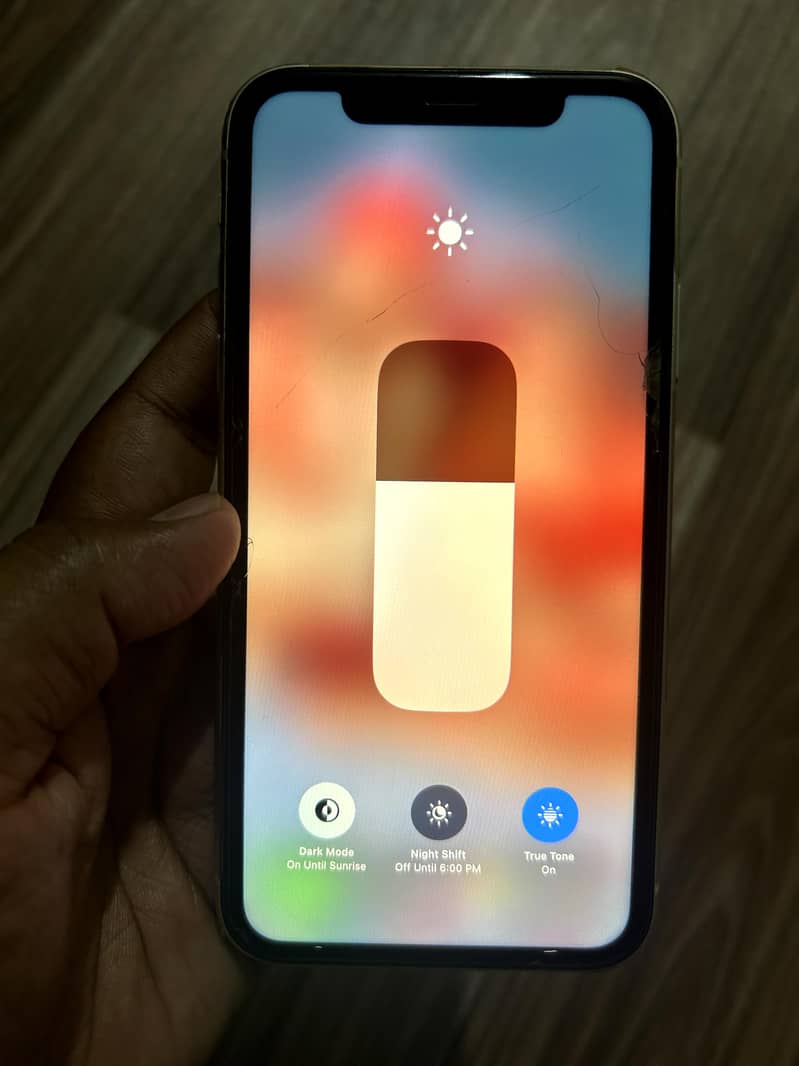 Apple iPhone 11 4