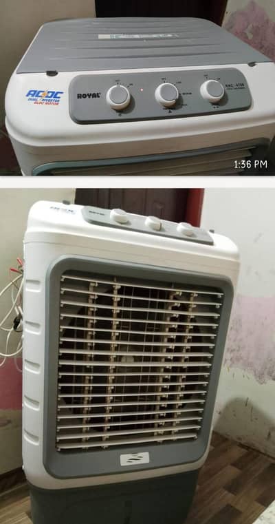 royal room cooler