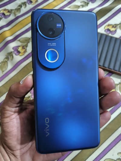 Vivo V50 5G 12+12-256