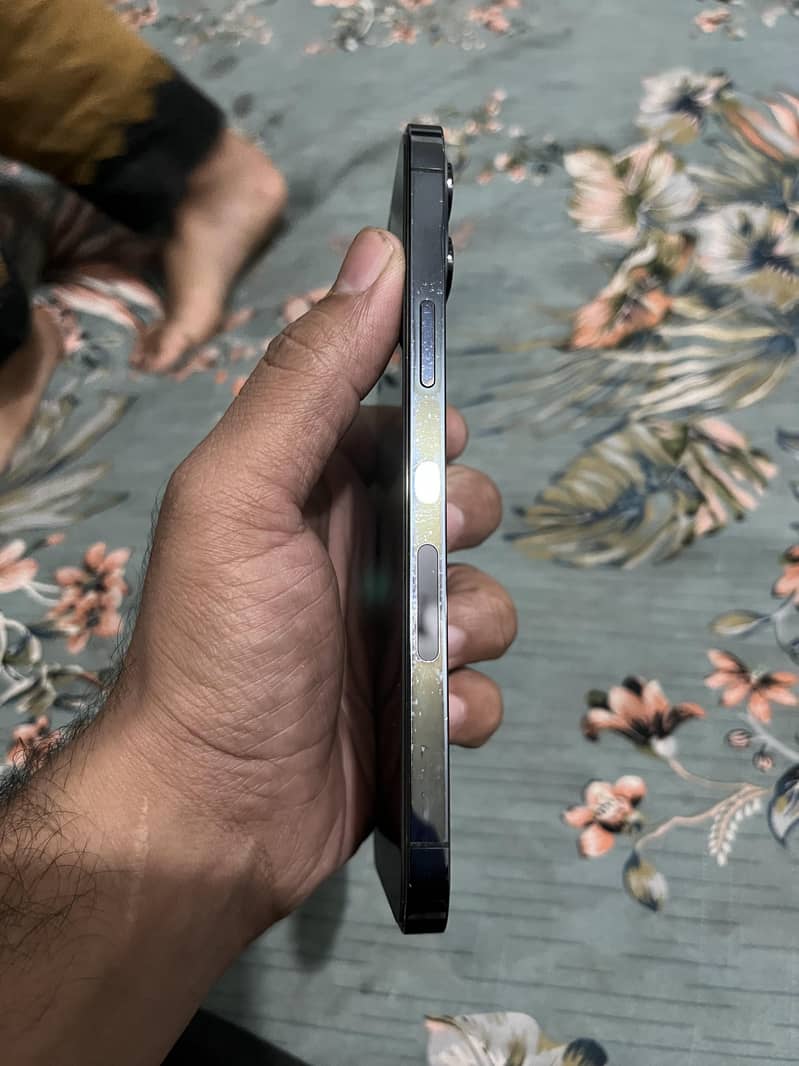 Apple iPhone 12 Pro Max 1