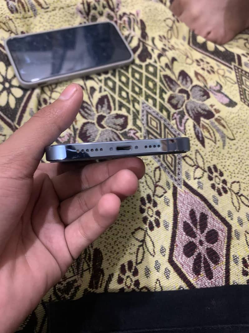 Apple iPhone 13 Pro Max 1