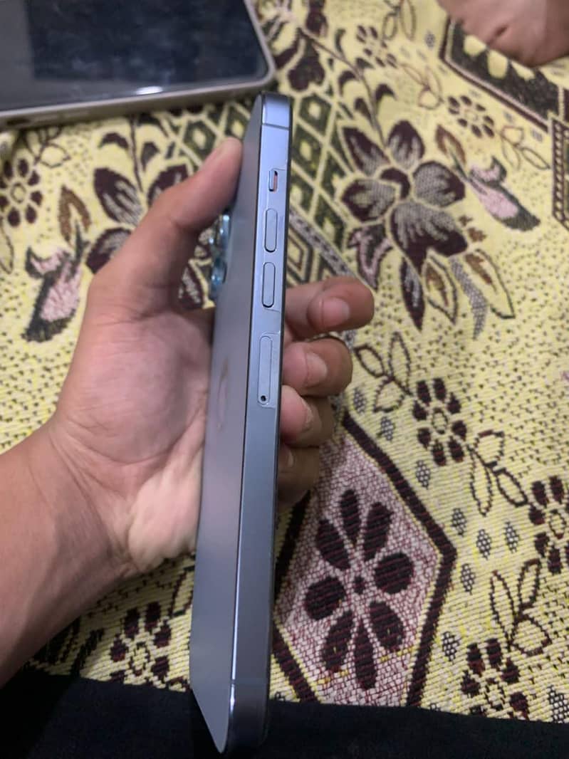 Apple iPhone 13 Pro Max 2