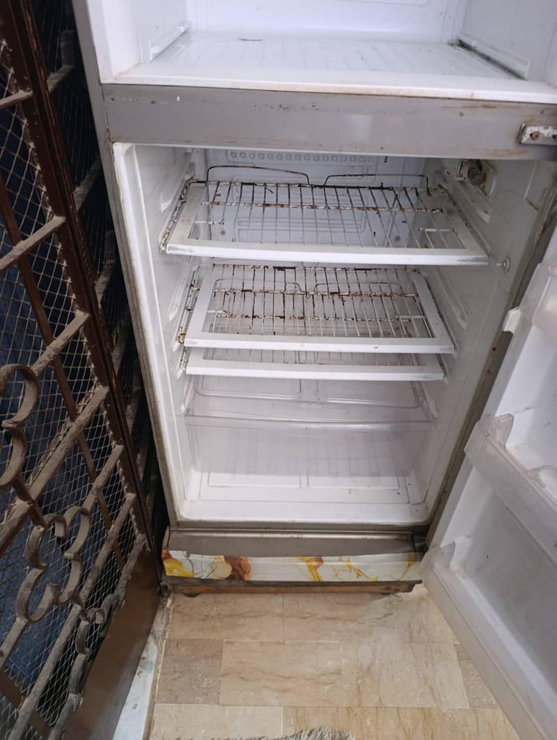 PEL Refrigerator 4