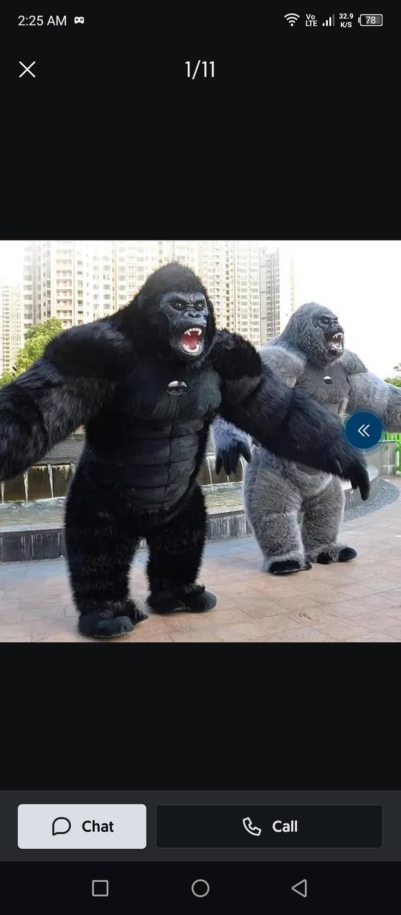 gorilla Coustium 0