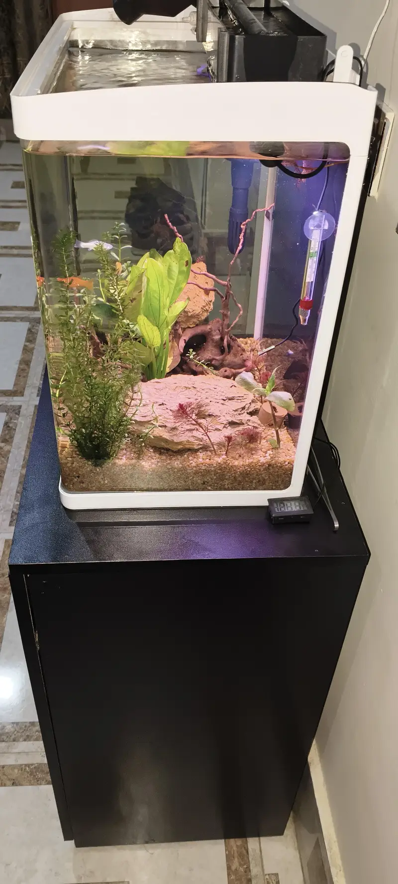 Planted Fish Aquarium Set Auto filtration Minjiang MJ-468 — photo 3