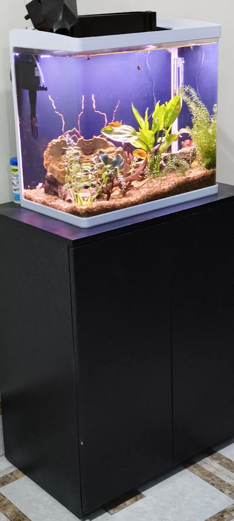 Planted Fish Aquarium Set Auto filtration Minjiang MJ-468 — photo 4