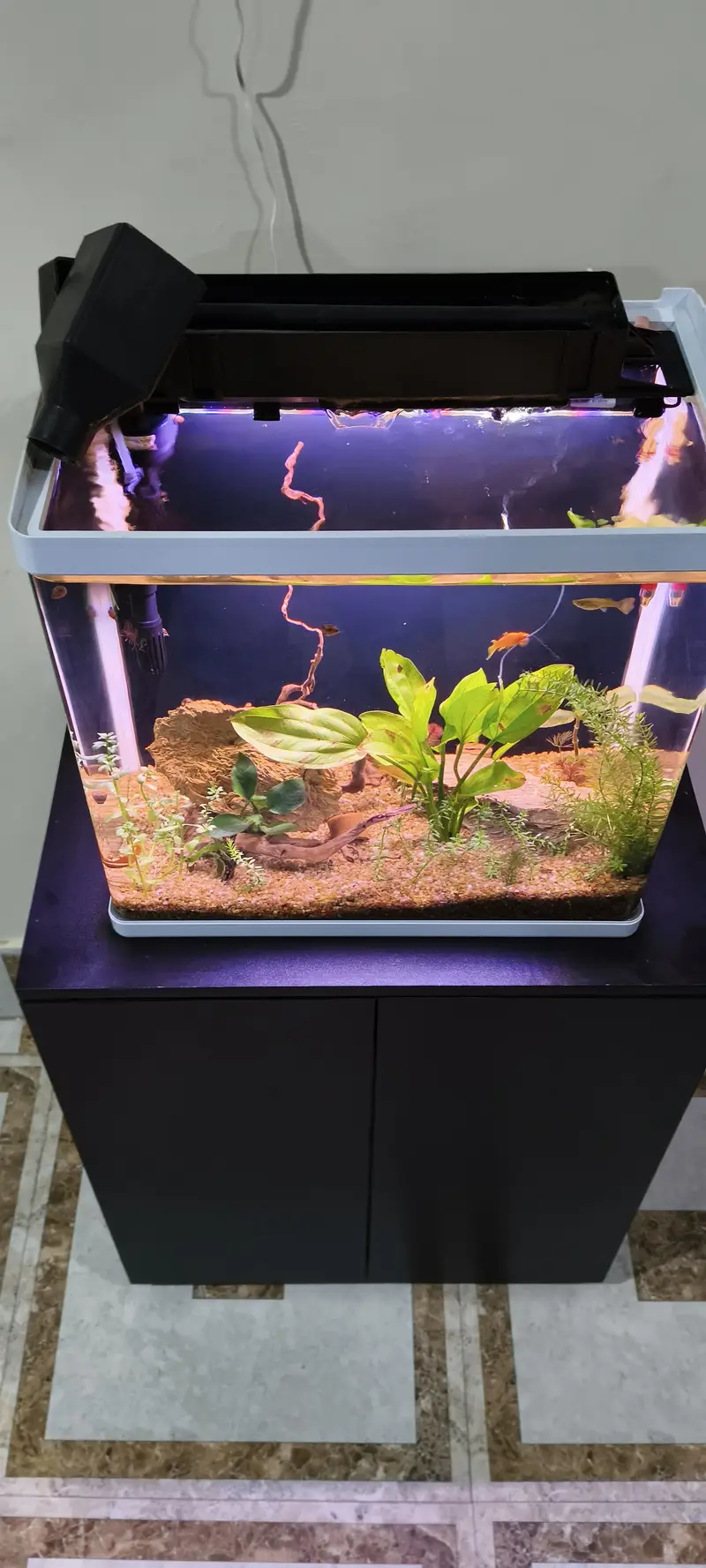 Planted Fish Aquarium Set Auto filtration Minjiang MJ-468 — photo 5
