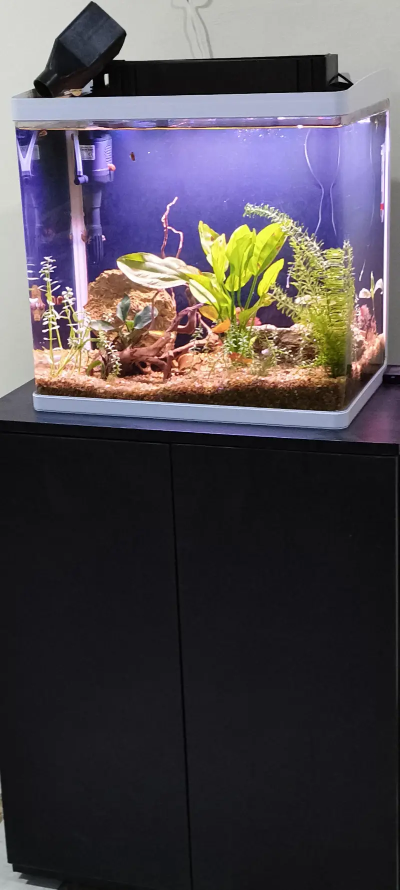 Planted Fish Aquarium Set Auto filtration Minjiang MJ-468 — photo 7