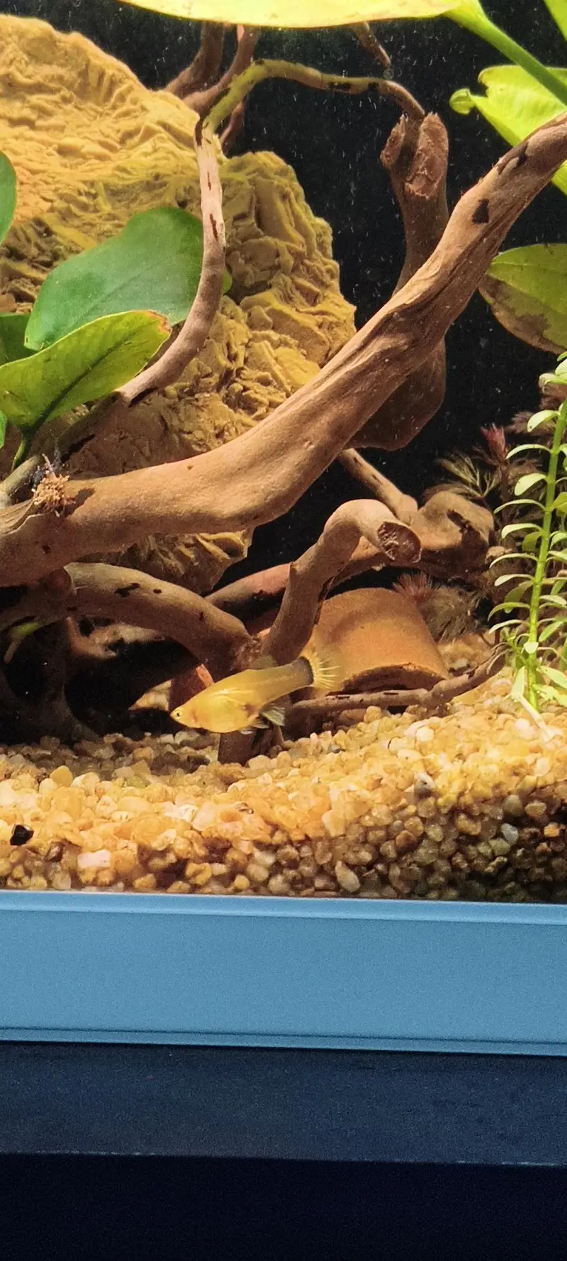 Planted Fish Aquarium Set Auto filtration Minjiang MJ-468 — photo 11