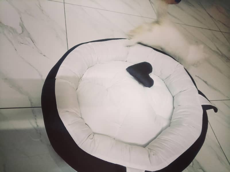 Pet bed 0