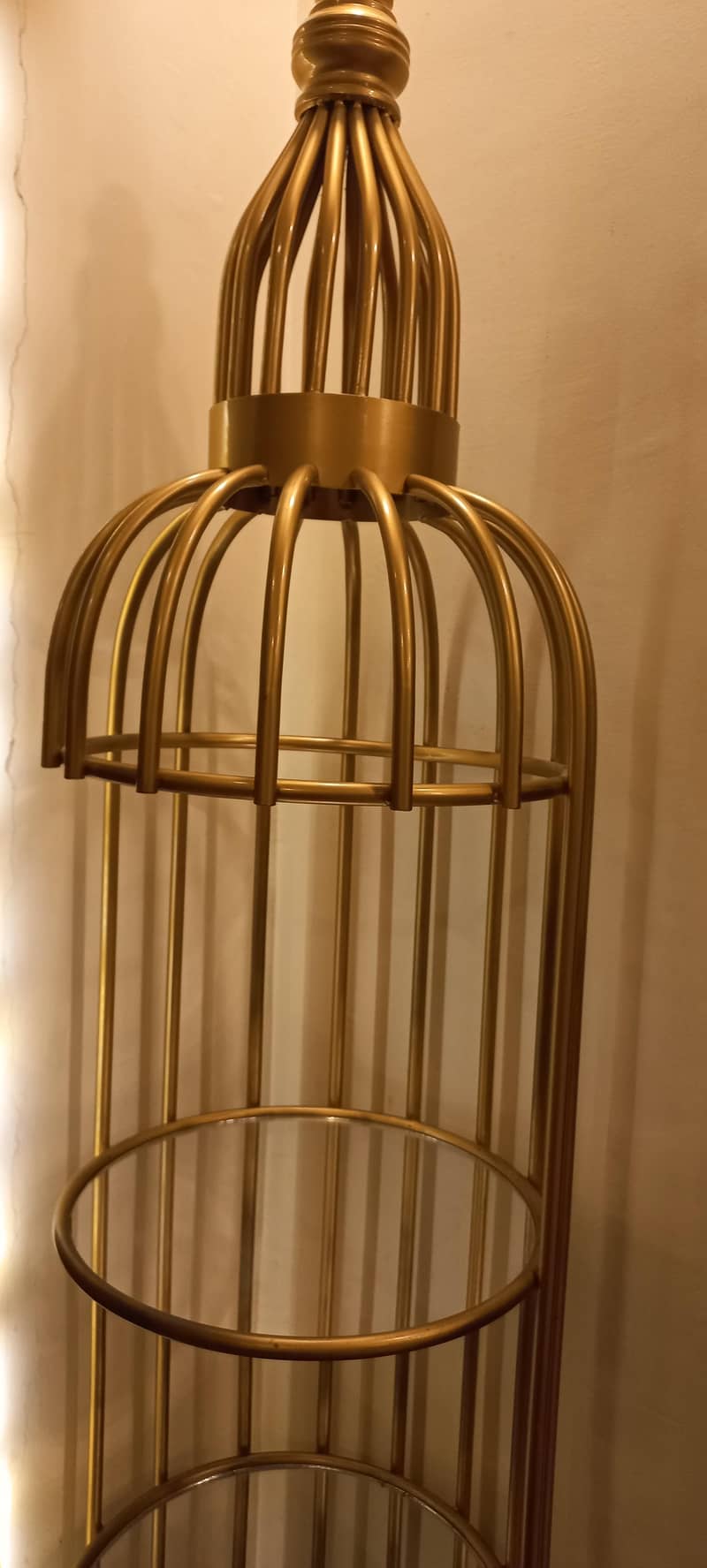 large size cage 1