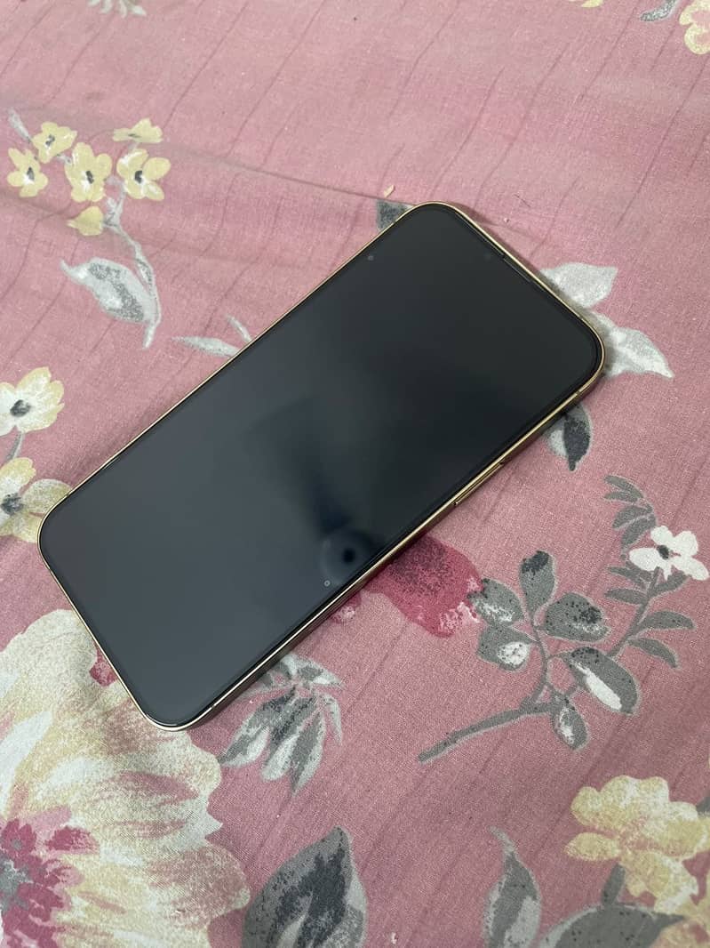 Apple iPhone 13 Pro Max 1