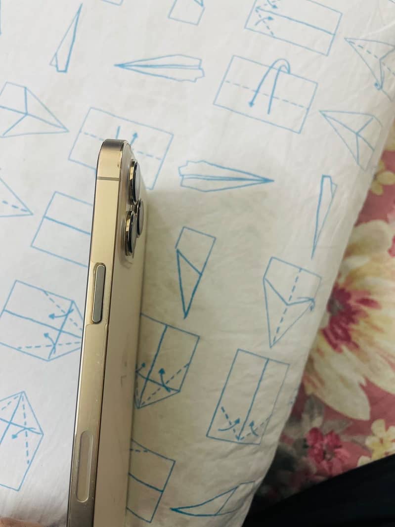 Apple iPhone 13 Pro Max 4