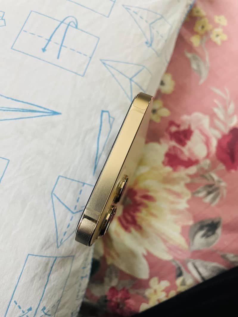 Apple iPhone 13 Pro Max 5