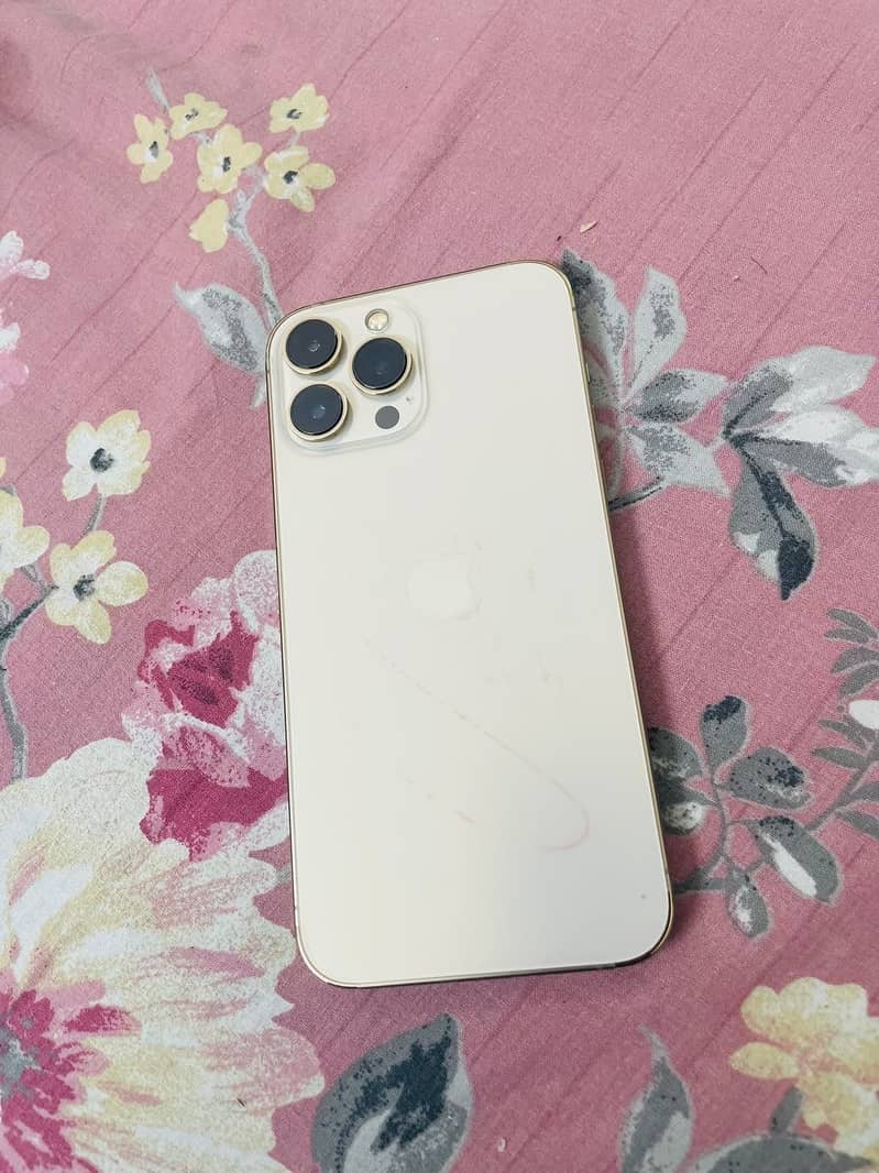 Apple iPhone 13 Pro Max 6