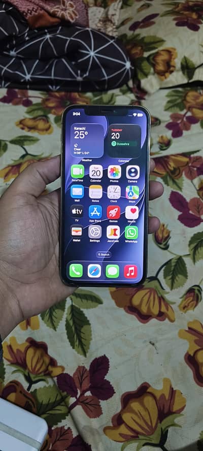 Apple iPhone 12 Pro