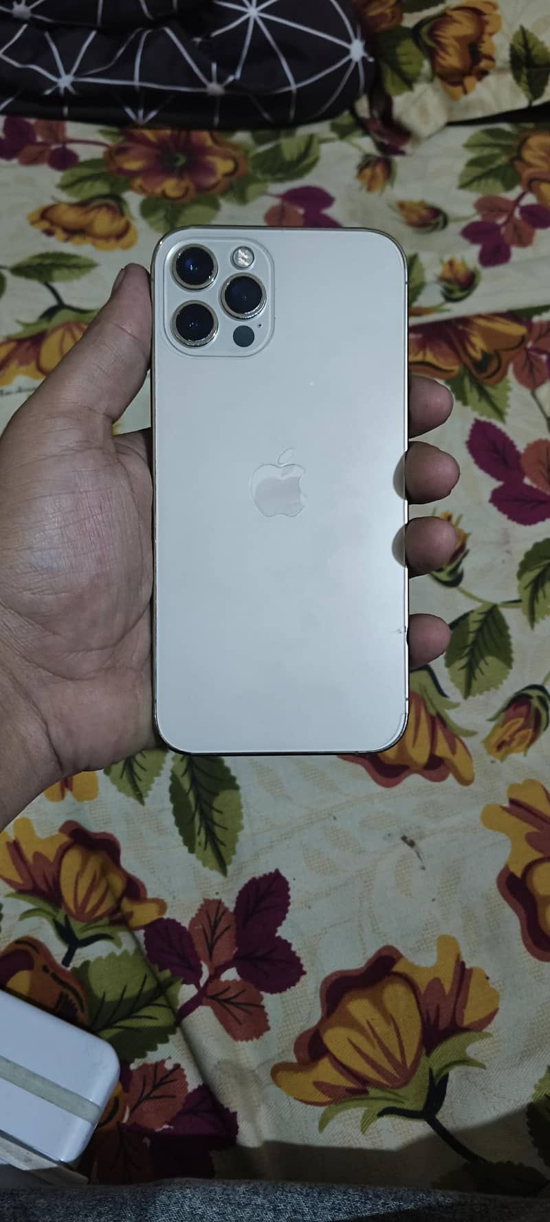 Apple iPhone 12 Pro 1
