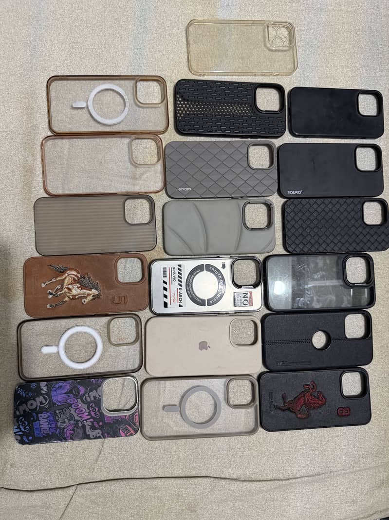 13 pro max cases 1
