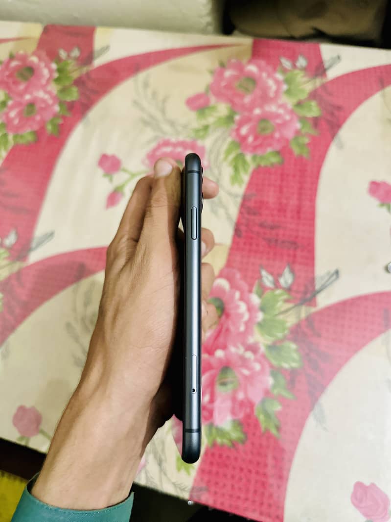 Apple iPhone 11 0