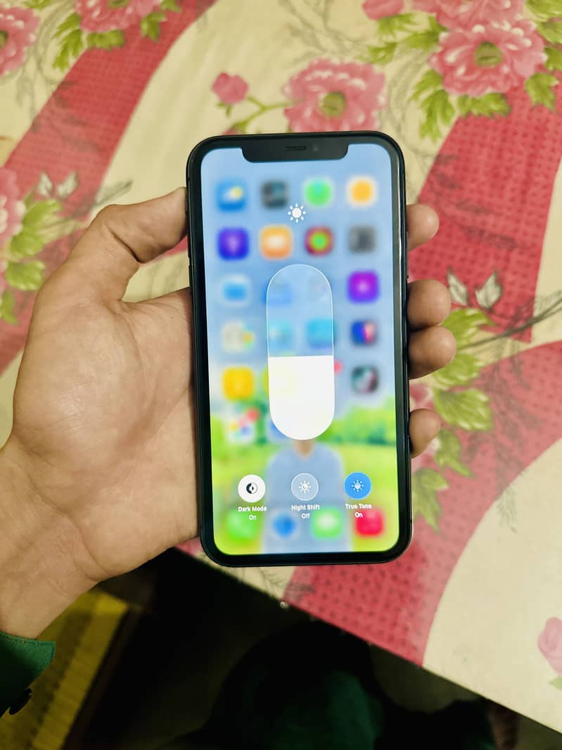 Apple iPhone 11 1