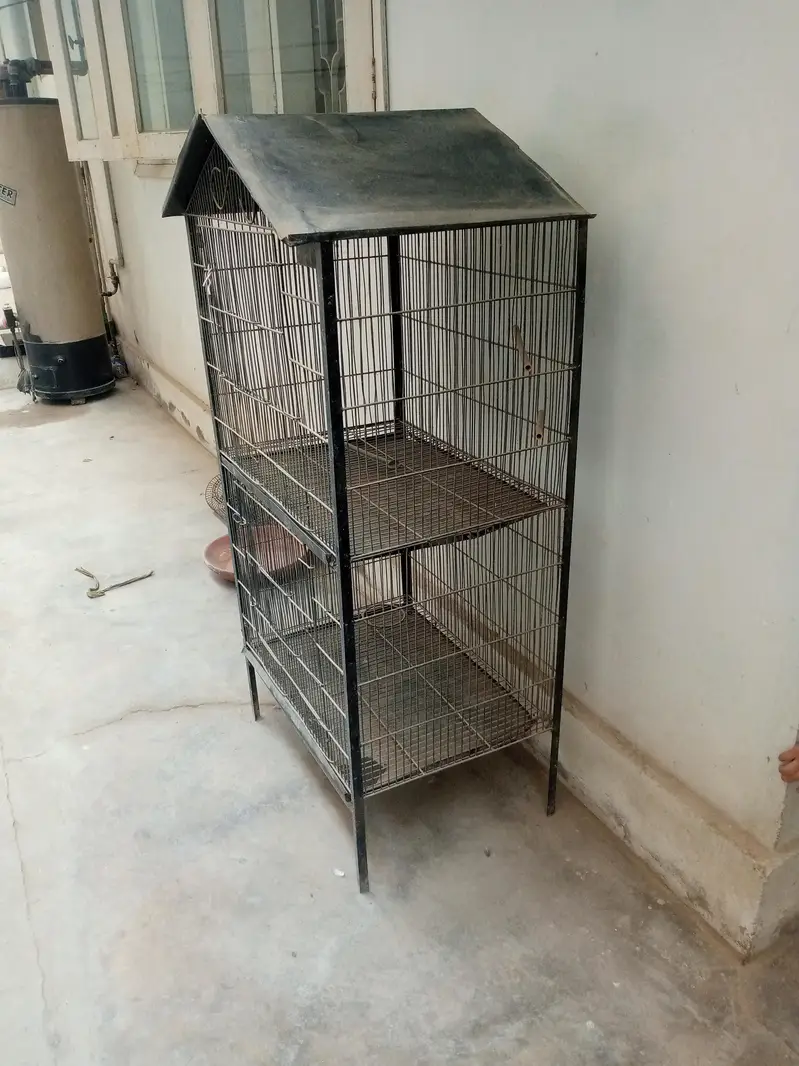 birds cage — photo 2
