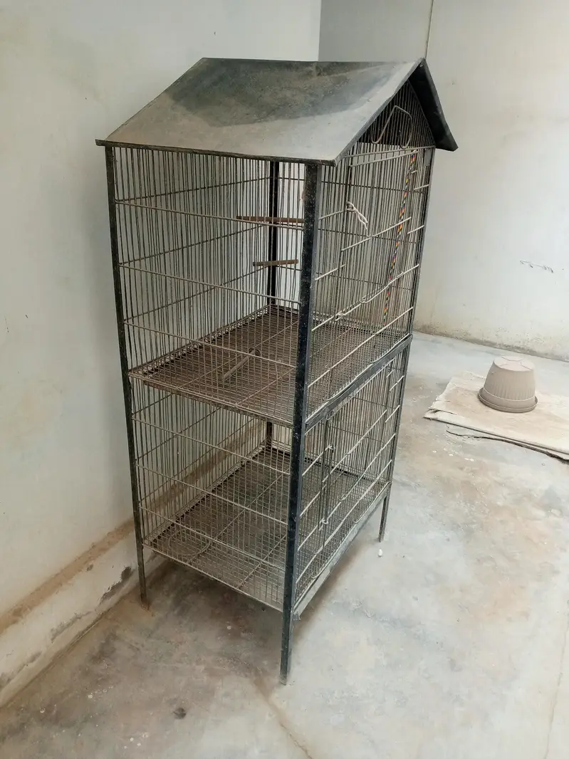 birds cage — photo 3