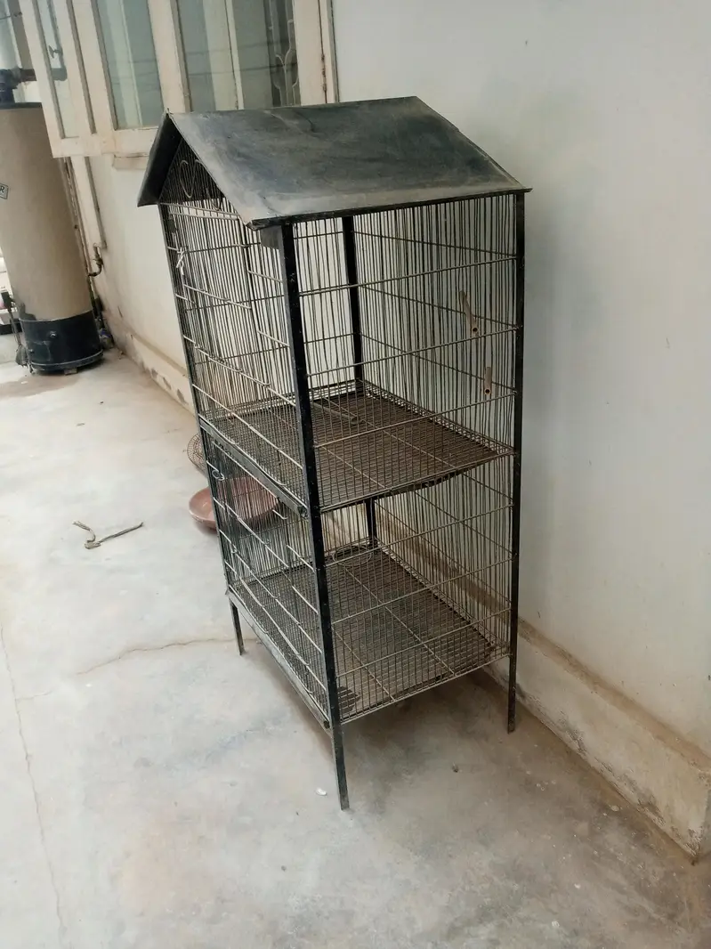 birds cage — photo 5