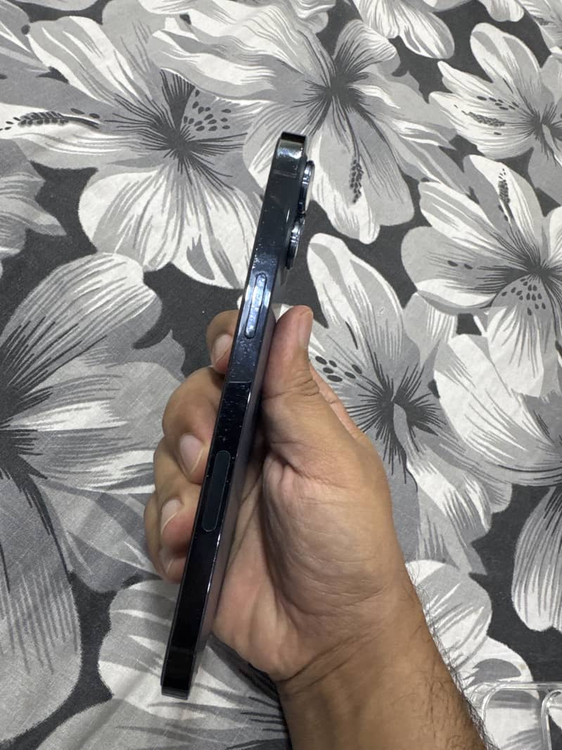 Apple iPhone 12 Pro Max 2