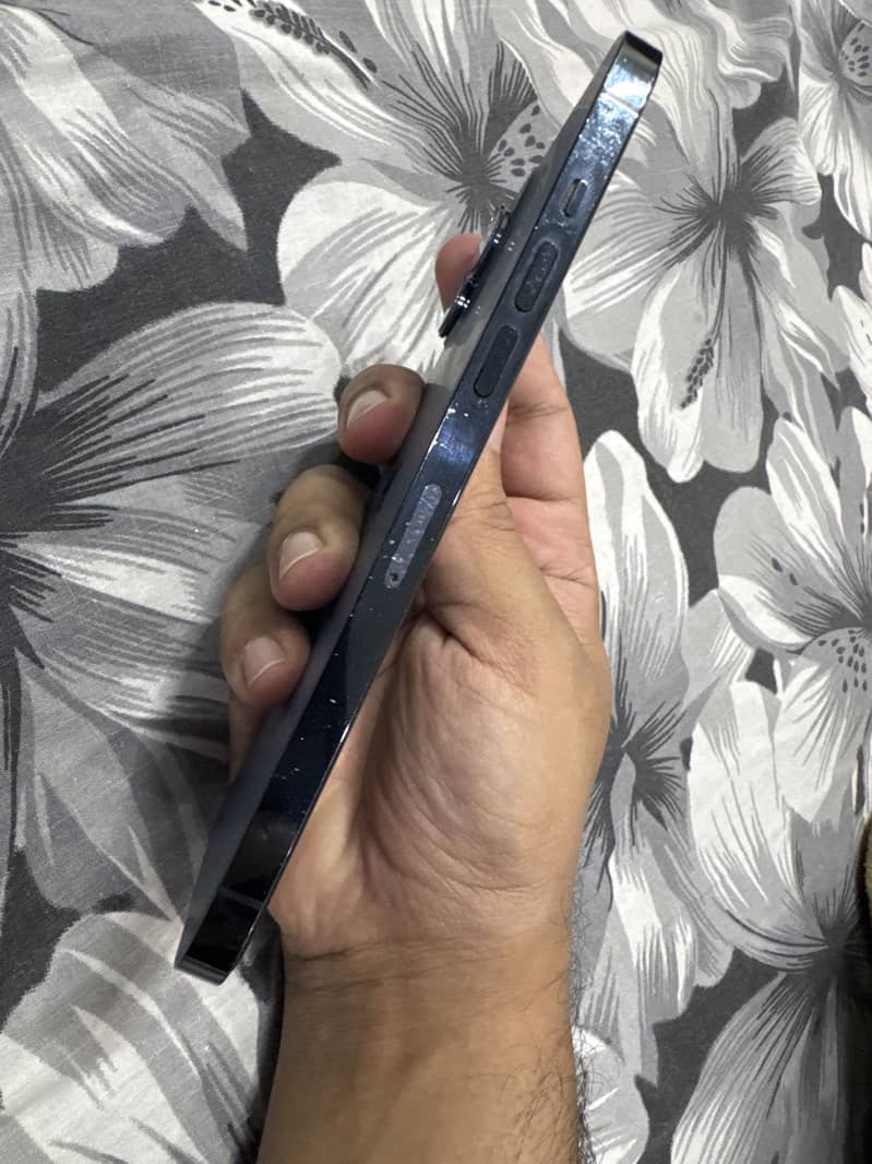 Apple iPhone 12 Pro Max 3