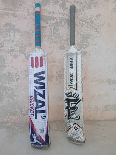 Circket Coconut Bats for sale