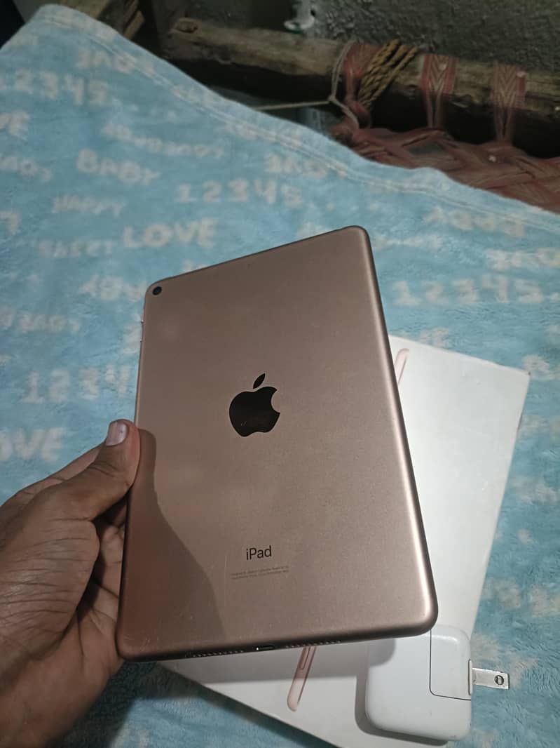 Ipad mini 5 3