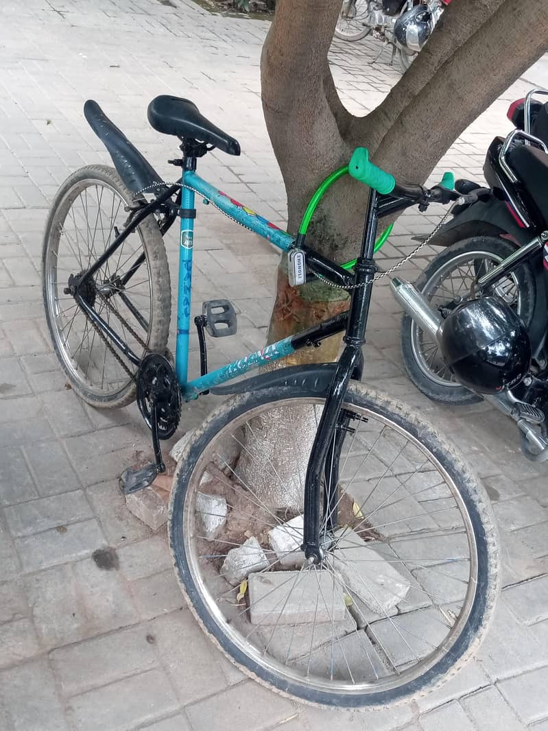 ponix bicycle 2