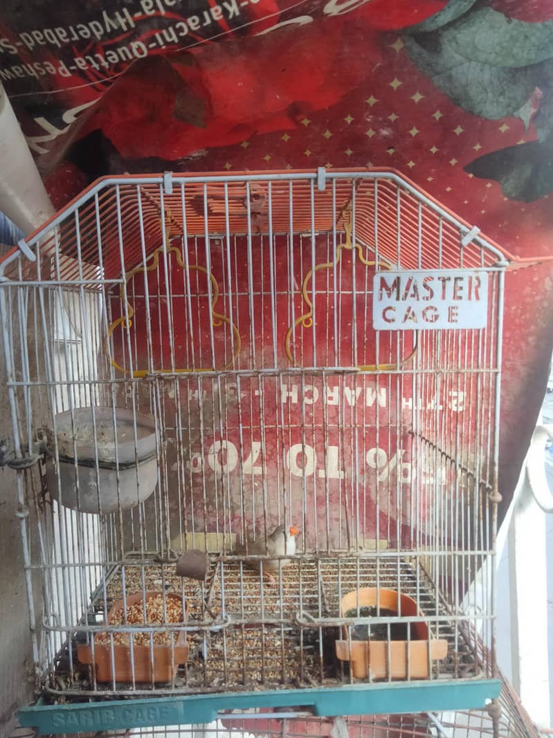 Finch 0