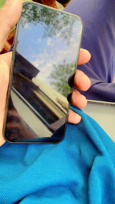 Apple iPhone 12 Pro