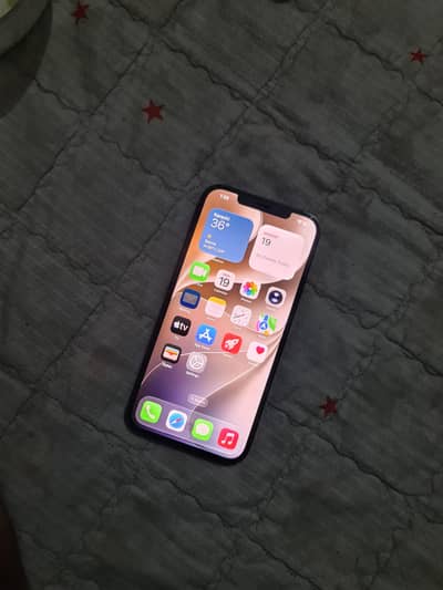 Apple iPhone 12 Pro Max
